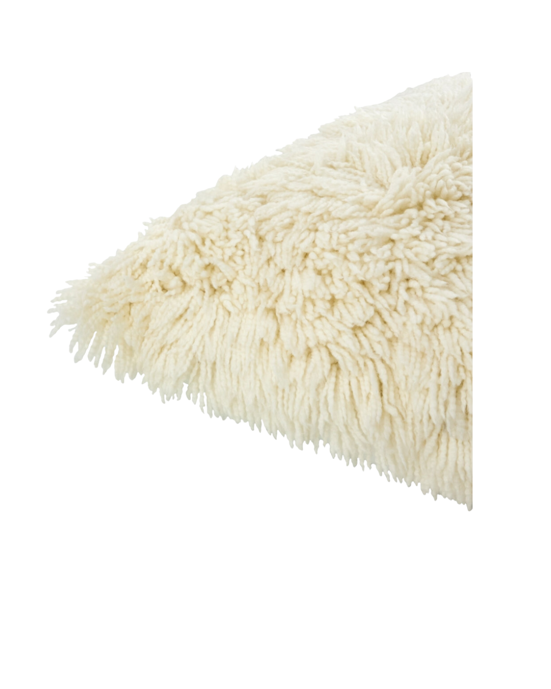 Shaggy Floor Pillow
